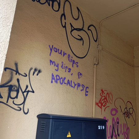 S/T