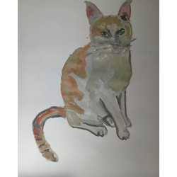 El gato de Rosi
