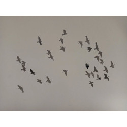 Bandada de palomas