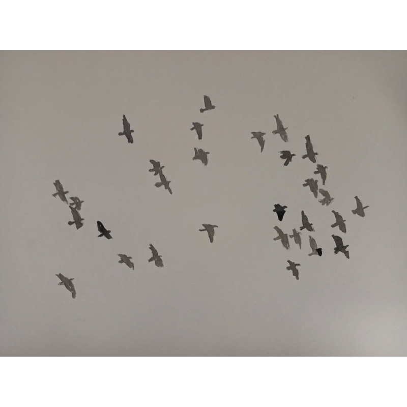 Bandada de palomas
