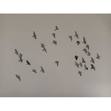 Bandada de palomas