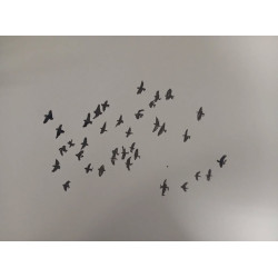 Bandada de palomas