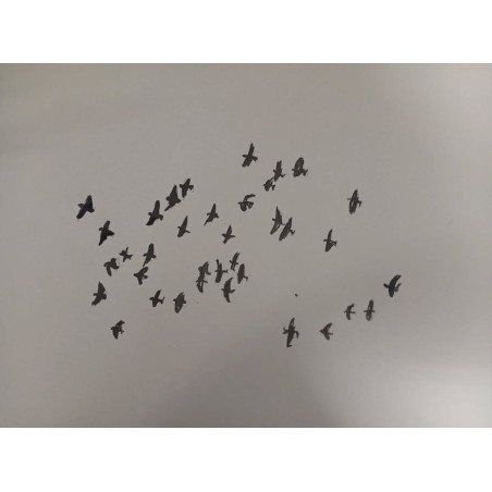Bandada de palomas
