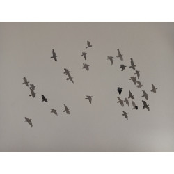 Bandada de palomas