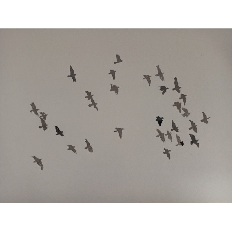 Bandada de palomas