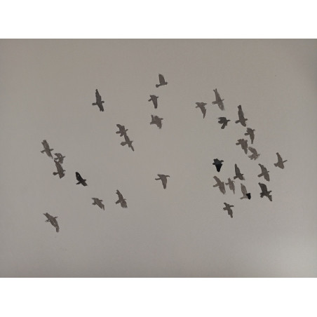 Bandada de palomas