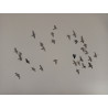 Bandada de palomas