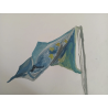 Bandera Europea al viento
