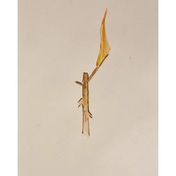 Árbol ardiendo