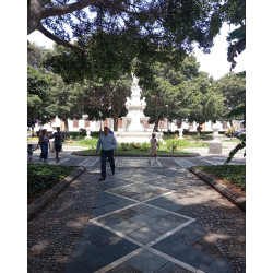 Sobre la paz y el mal