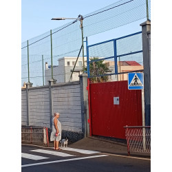 Una señora y su perro a las puertas de mi colegio electoral