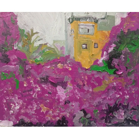 Buganvilla en La Cuesta