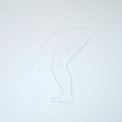 Estudio la pierna de un puntal de la Lucha Canaria