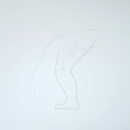 Estudio la pierna de un puntal de la Lucha Canaria