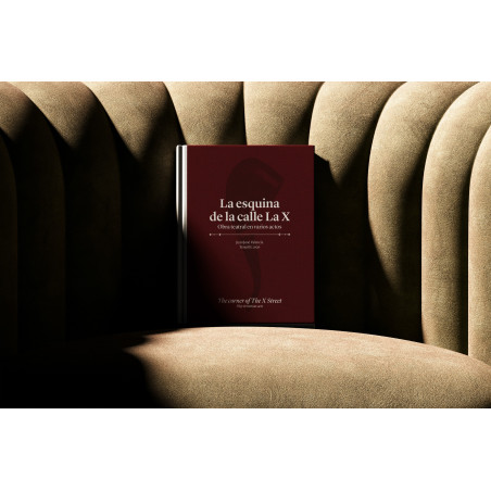 Libro La esquina de la calle La X