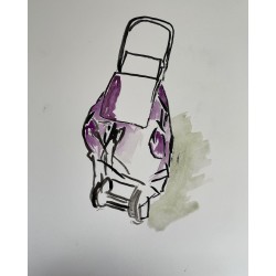 Mi carrito