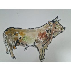 Toro Canario