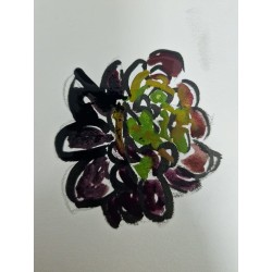 Verode
