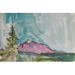 Vista del Teide
