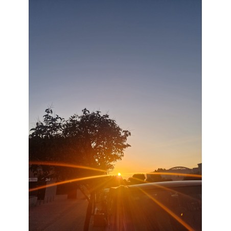fotografía