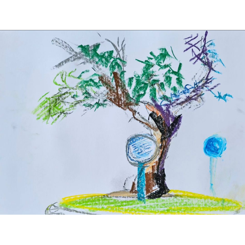 El olivo de los desplazados en noviembre