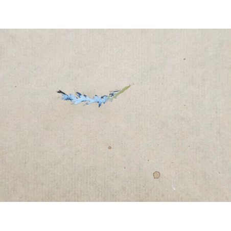 Pluma solitaria flotando en el aire