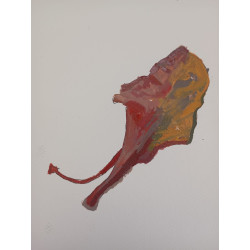 Hoja de flamboyán canario caida